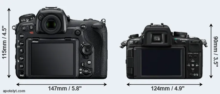 Comparison D500 or GH2 rear