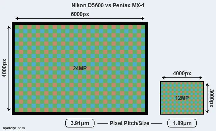 D5600 versus MX-1 MP