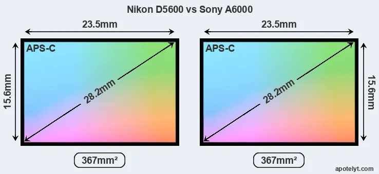 Nikon D5600 and Sony A6000 sensor measures