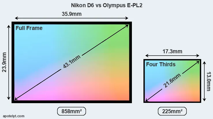 Nikon D6 and Olympus E-PL2 sensor measures