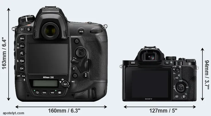 Comparison D6 or A7 rear