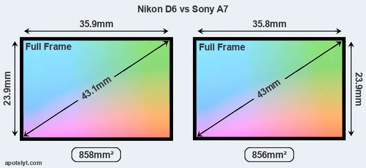Nikon D6 and Sony A7 sensor measures