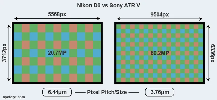D6 versus A7R V MP