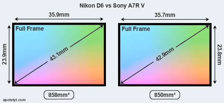 Nikon D6 and Sony A7R V sensor measures