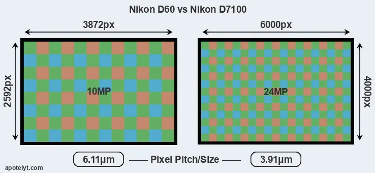 D60 versus D7100 MP