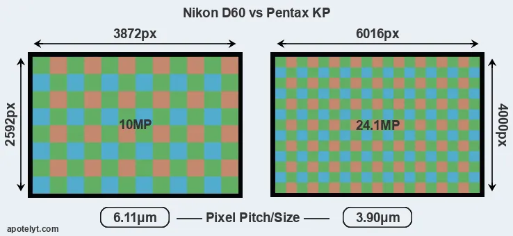 D60 versus KP MP