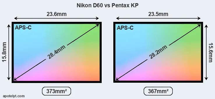 Nikon D60 and Pentax KP sensor measures