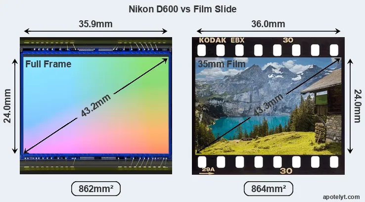 Nikon D600 sensor measures