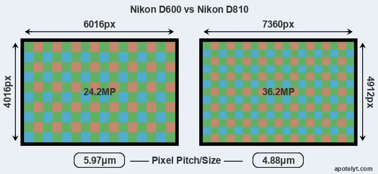 D600 versus D810 MP