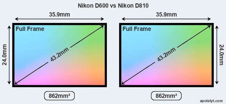 Nikon D600 and Nikon D810 sensor measures