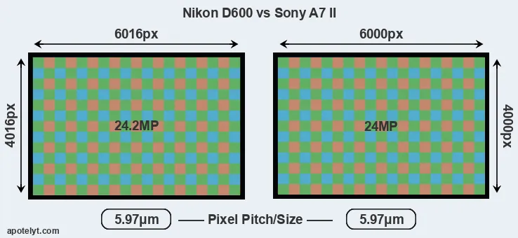 D600 versus A7 II MP