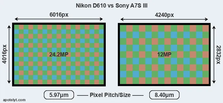 D610 versus A7S III MP