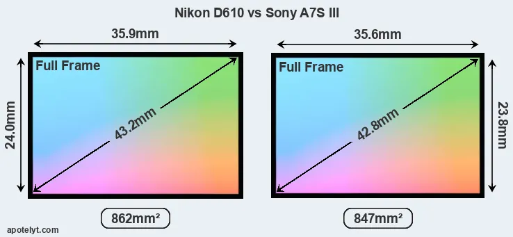 Nikon D610 and Sony A7S III sensor measures