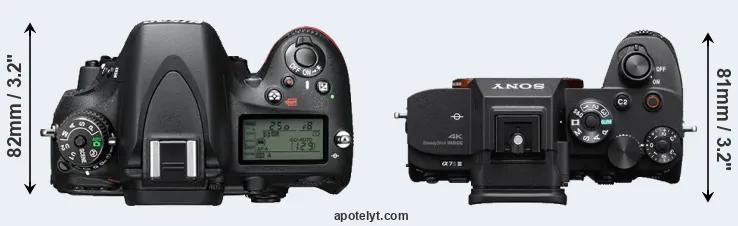 Compare D610 versus A7S III top