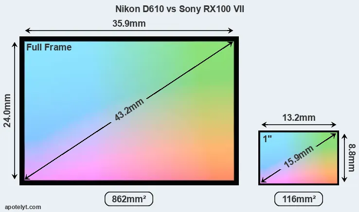 Nikon D610 and Sony RX100 VII sensor measures