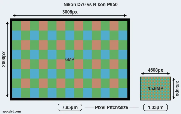 D70 versus P950 MP