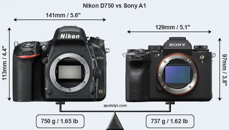 Size Nikon D750 vs Sony A1