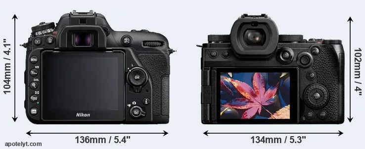 Comparison D7500 or S5 II rear
