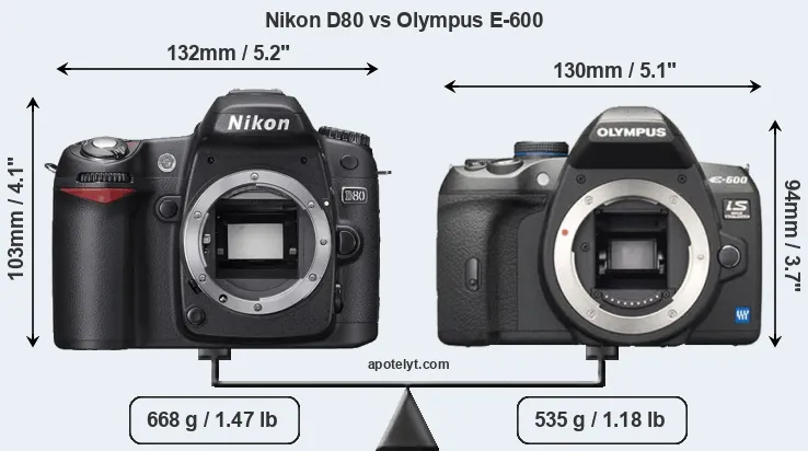 Size Nikon D80 vs Olympus E-600