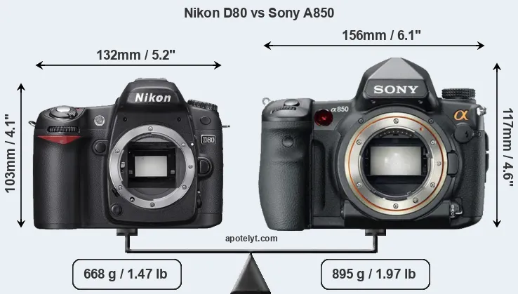 Size Nikon D80 vs Sony A850