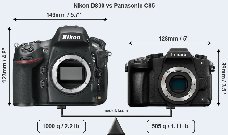 Size Nikon D800 vs Panasonic G85