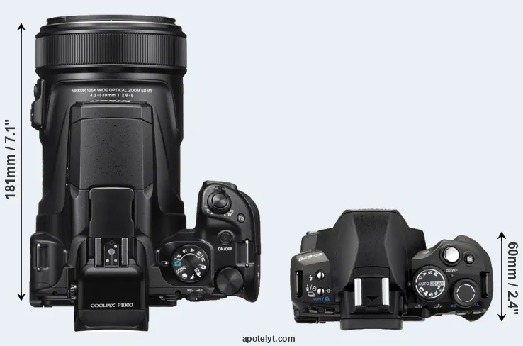 Compare P1000 versus E-620 top