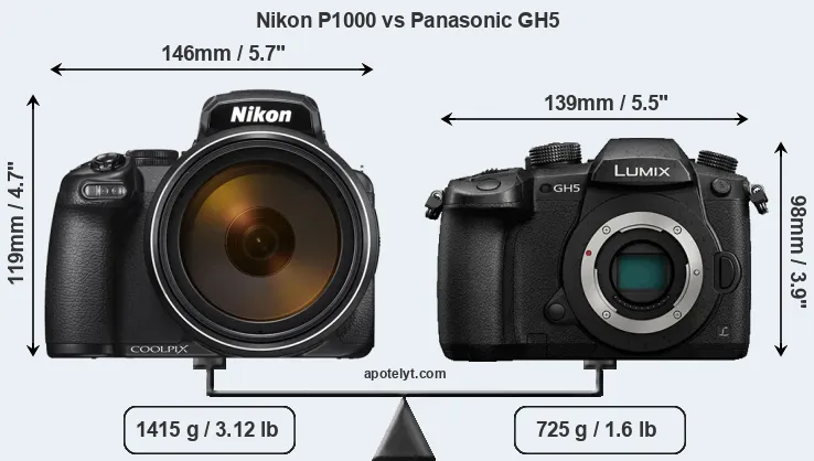 Size Nikon P1000 vs Panasonic GH5