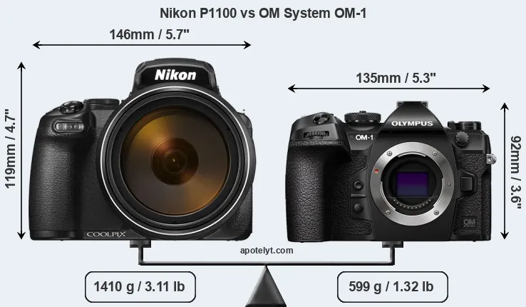 Size Nikon P1100 vs OM System OM-1