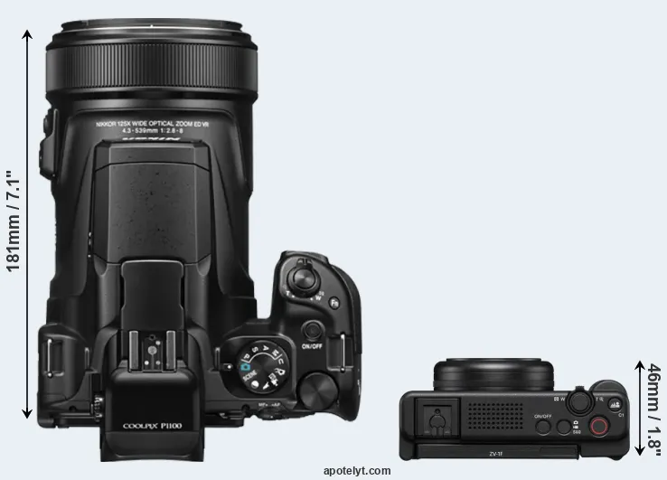 Compare P1100 versus ZV-1F top