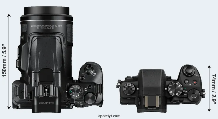 Compare P950 versus G80 top