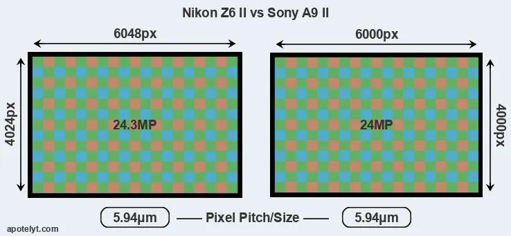 Z6 II versus A9 II MP