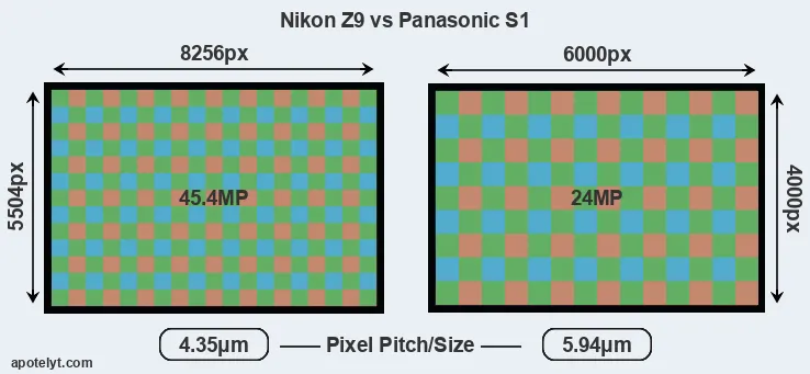 Z9 versus S1 MP
