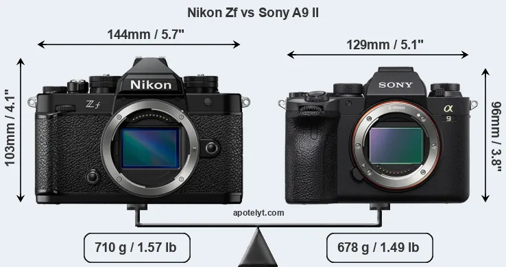 Size Nikon Zf vs Sony A9 II
