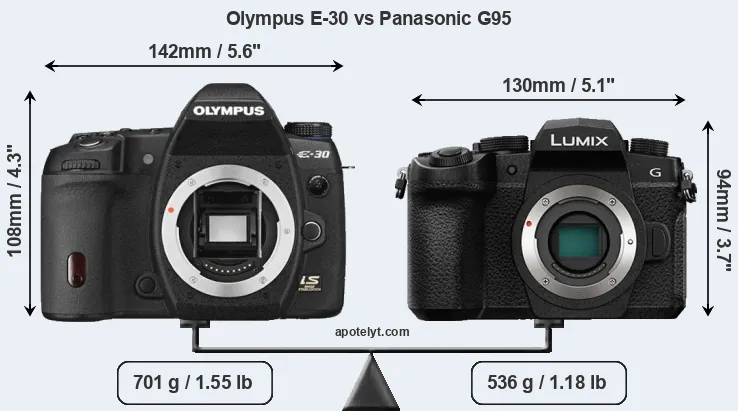 Size Olympus E-30 vs Panasonic G95