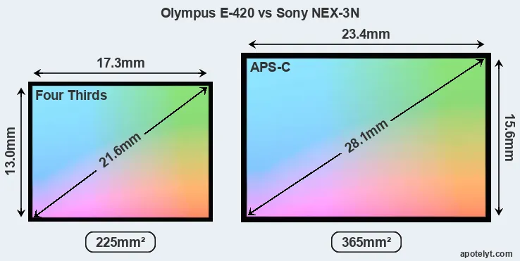 Olympus E-420 and Sony NEX-3N sensor measures