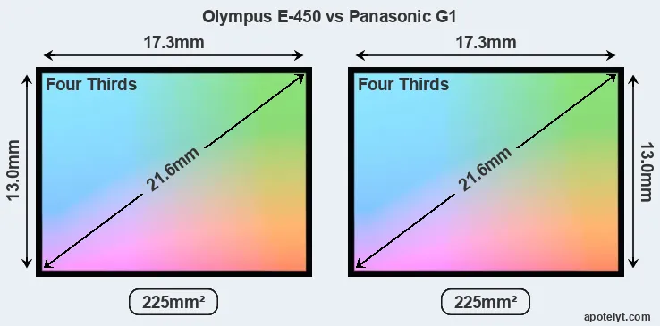 Olympus E-450 and Panasonic G1 sensor measures