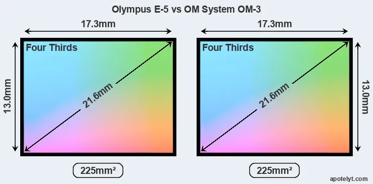 Olympus E-5 and OM System OM-3 sensor measures