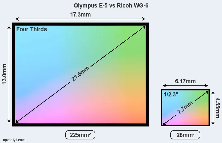Olympus E-5 and Ricoh WG-6 sensor measures