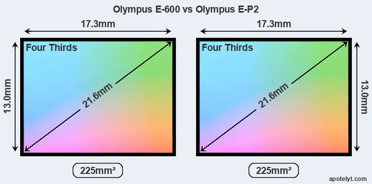 Olympus E-600 and Olympus E-P2 sensor measures
