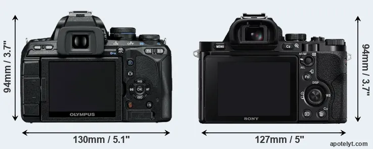 Comparison E-600 or A7 rear
