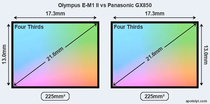 Olympus E-M1 II and Panasonic GX850 sensor measures