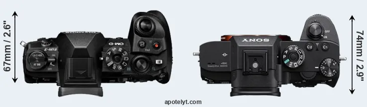 Compare E-M1 II versus A7R III top