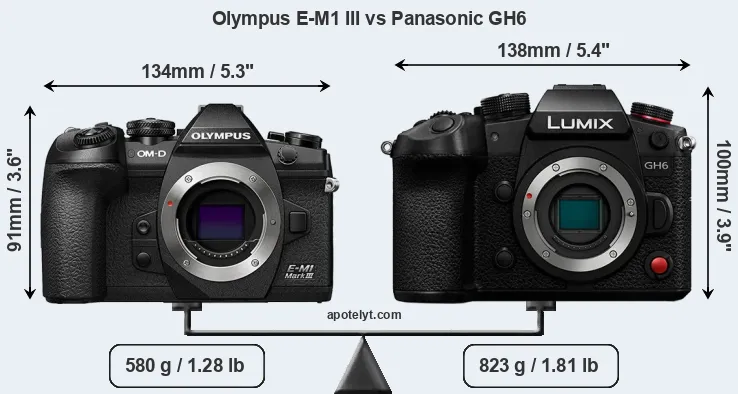 Size Olympus E-M1 III vs Panasonic GH6