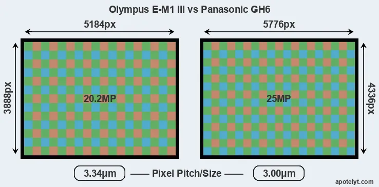 E-M1 III versus GH6 MP