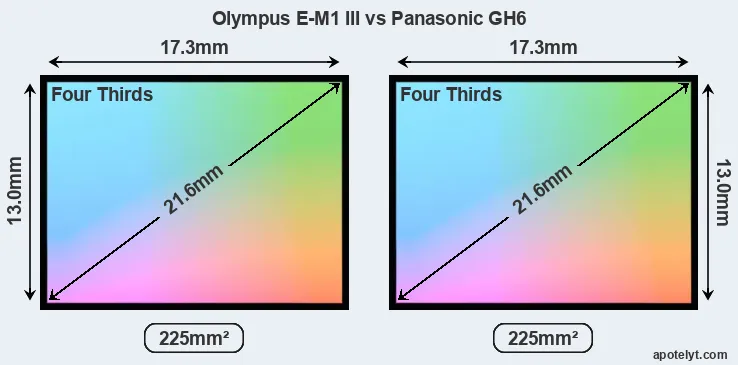 Olympus E-M1 III and Panasonic GH6 sensor measures