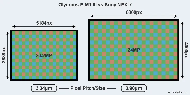 E-M1 III versus NEX-7 MP
