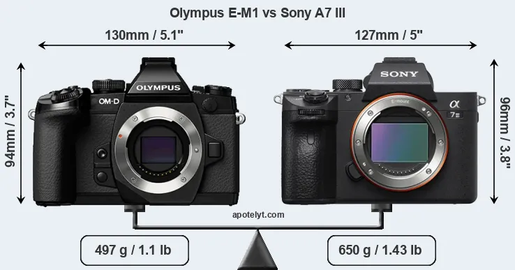 Size Olympus E-M1 vs Sony A7 III