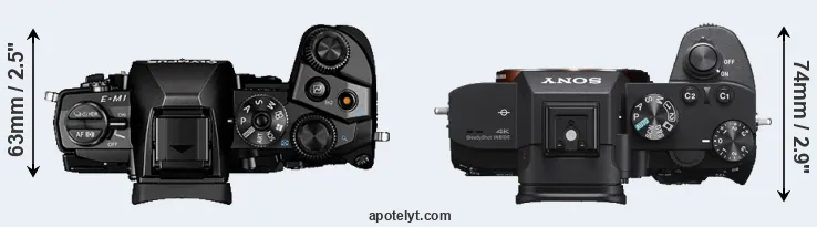 Compare E-M1 versus A7 III top