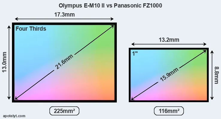 Olympus E-M10 II and Panasonic FZ1000 sensor measures