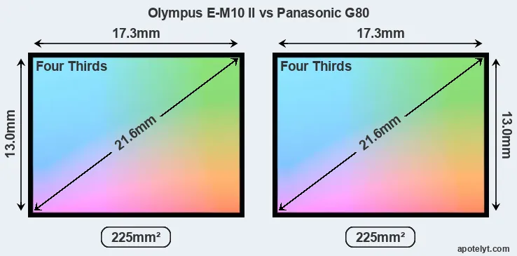 Olympus E-M10 II and Panasonic G80 sensor measures